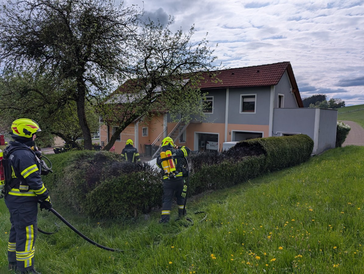 Heckenbrand in Osternach